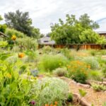 Wertsteigerung durch Landschaftsgestaltung: Tipps für Immobilieneigentümer