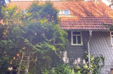 Fachwerkhaus mit Charme und Potenzial – Handwerkertraum auf großem Grundstück in Seck