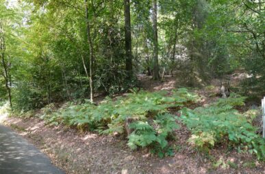 Freiraum und Platz; großes Grundstück in beschaulicher Stadtrandlage